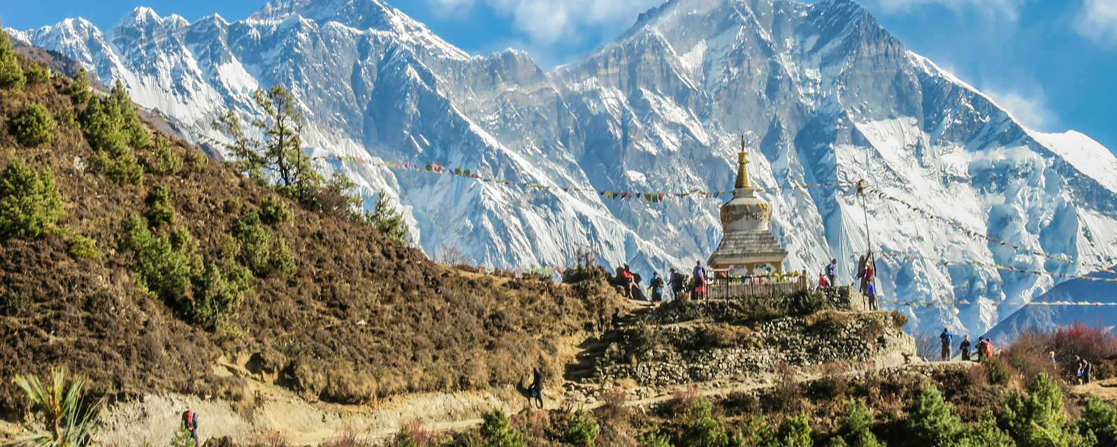 Travel Information Hero